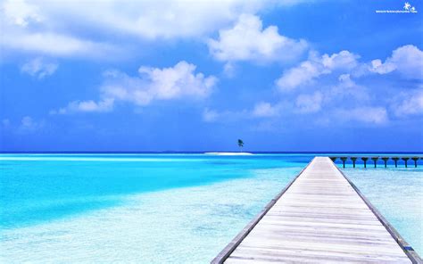 Free Download Beautiful Beach Picture Awesome Crystal Blue Ocean