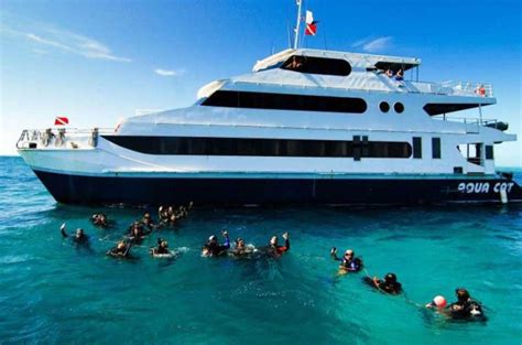 Aqua Cat Croisière Plongée Nassau Bahamas Voyages Plongée Ultramarina