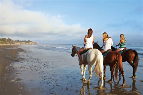 Horseback Riding In Santa Barbara Beach Tours
