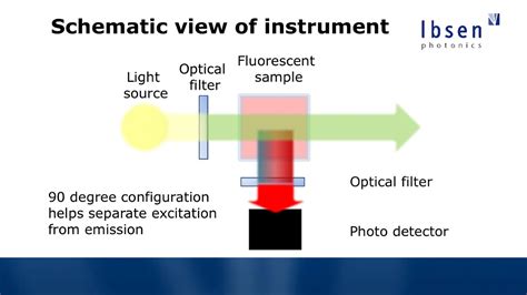 Fluorescence Spectroscopy Tutorial Common Fluorophores And