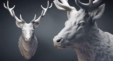 Two White Deer Heads Are Shown In This Artistic Photo One Is Looking