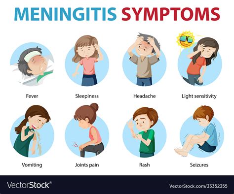 Meningitis Symptoms Cartoon Style Infographic Vector Image
