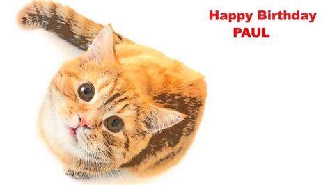 Paul Cats Gatos Happy Birthday Youtube