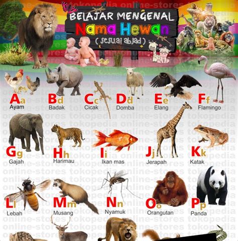 27 Spesial Nama Hewan Sesuai Abjad Indonesia