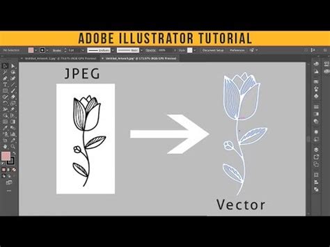 How To Convert Jpeg Into Vector Adobe Illustrator Tutorial Youtube