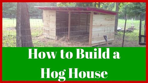 American Guinea Hogs Agh How To Build A Hog House Or How I Did