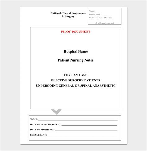 12 Free Nursing Notes Examples And Templates