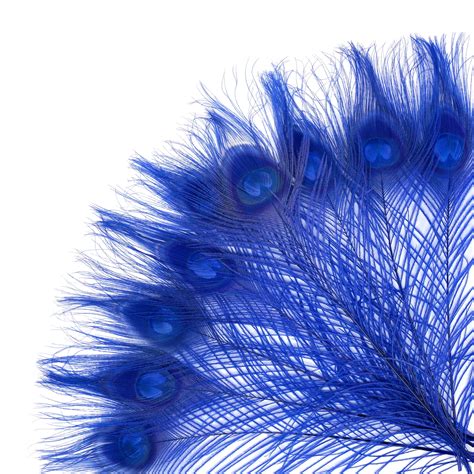 Peacock Feathers 5 To 100 Pieces Royal Blue Bleached Dyed Etsy