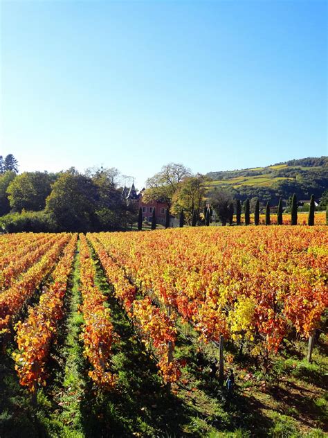 Les Climats Du Vignoble De Bourgogne Beaune Et Le Pays Beaunois