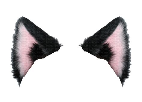 Ohren Ohren Ears Cat Animated Moonflower26 Free Animated 