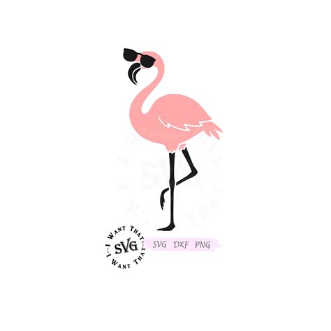 Flamingo With Sunglasses Svg Flamingo Svg Decal Svg Vinyl Svg Summer