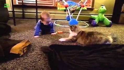 Babies Laughing Hysterically At Cats Compilation Bebes Riendose De