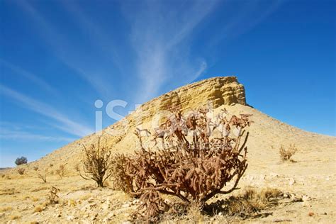 Southwest Desert Landscape Stock Photo Royalty Free Freeimages