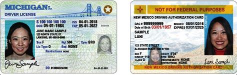 Louisiana Drivers License Identification Requirements Literacy Basics