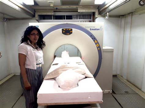 ct scans of egyptian mummy reveal new details about the death of a pivotal pharaoh laptrinhx