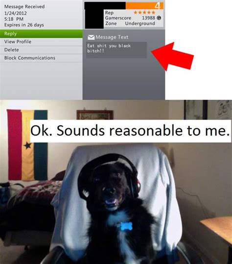Gamer Dog Appreciates Suggestion Funny Pictures Quotes