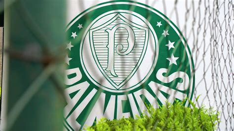 se palmeiras on twitter próximo desafio ituano 👊🐷 manhã de reapresentação treino e tv