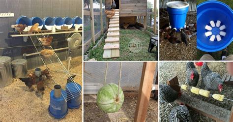 26 Ideas To House Entertain And Feed Your Chickens Engineering