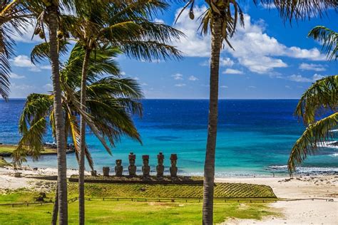 Nature Landscape Beach Sea Palm Trees Grass Sand Moai Statue
