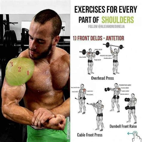 Variations Shoulder Exercises Push Barbell From Behind The Head