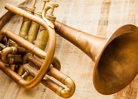 Not Just Brass Tubing: Factors that Shape Instrument Tone and Feel