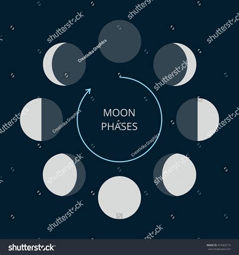 Moon Phases Icons Astronomy Lunar Symbols Stock Vector 477465715