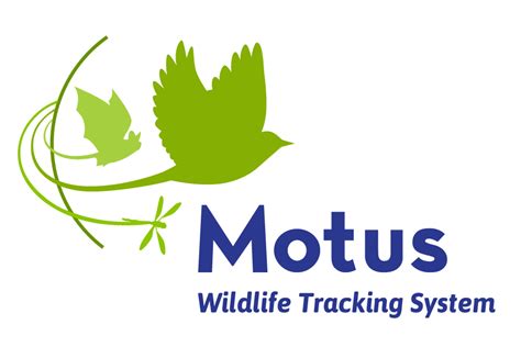 Infographics And Photos Motus Wildlife Tracking System
