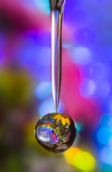 40 Awesome Examples Of Water Drop Photography Photography Graphic