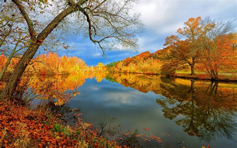 Lake Autumn Nature Landscape Reflection Trees Sky Wallpapers Hd