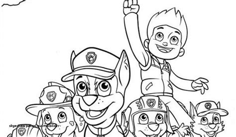 Gratismalvorlagen.com comic und trickfilmfiguren, dem größten archiv für gratismalvorlagen für kinder. Paw Patrol Skye Hubschrauber Ausmalbilder