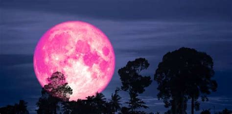 A Dazzling Full Pink Moon Is Set To Illuminate Vancouver Skies Next