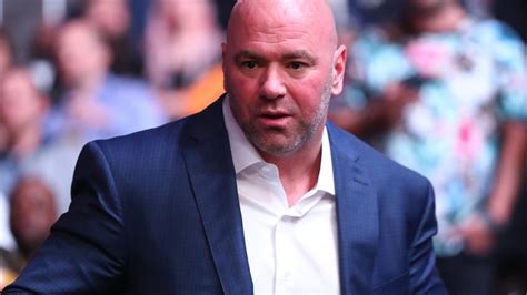 ufc chief dana white wants three more conor mcgregor fights this year as he discusses mayweather