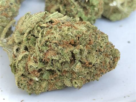 Pineapple Kush Hms Maryland Cannabis Reviews