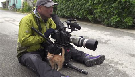 Japanese Wildlife Photographer Travels The Globe To Film Cats Of The