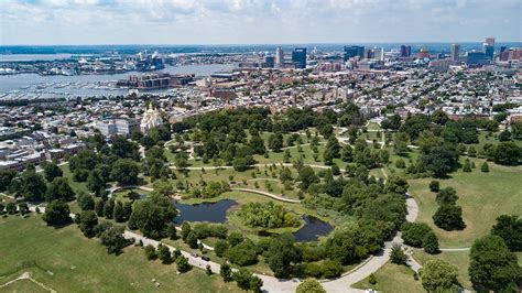 Vibrant Cities Lab New National Go To Resource For Urban Forests
