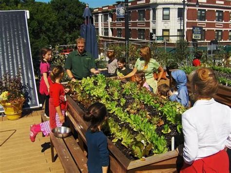 Restaurants With Gardens Growing Produce In Raised Beds Recycled