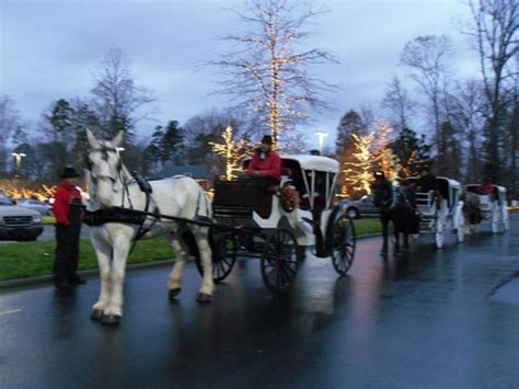 Do you have a charge from mcbonies southern food charlotte nc? southern photo charlotte nc - carriage rides down town ...