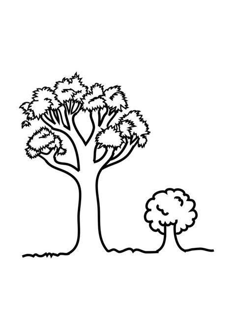 Free Printable Tree Coloring Pages For Kids | Tree coloring page