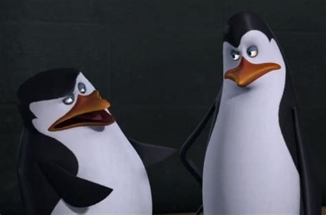 Kowalskirelationships Penguins Of Madagascar Wikia Fandom Powered By Wikia