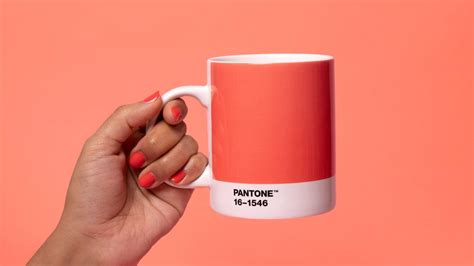 The 2019 Pantone Color Of The Year Is Living Coral