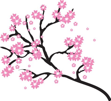Cherry Blossom Tree Branch Drawing Free Download On Clipartmag