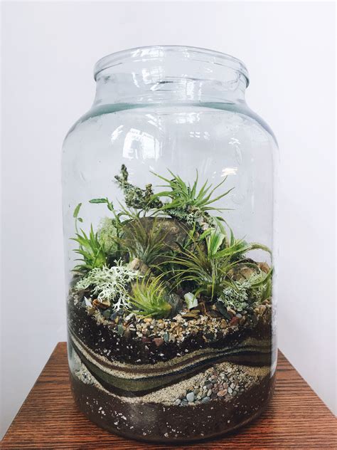 Custom Terrarium With Sand Art Texture And Air Plants Another Open