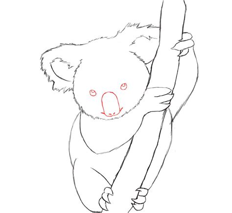 How To Draw A Koala Easy Step By Step Bear Paintings Kangaroo