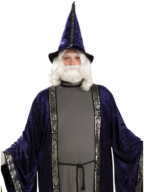 Purple Velveteen Wizard Costume Plus Size Mens Merlin Costume