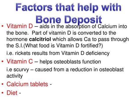 Ppt Bone Physiology Powerpoint Presentation Free Download Id3357358