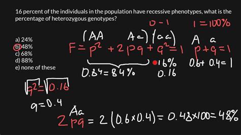 P2 + 2pq + q2 = 1 p + q = 1 p = frequency of the dominant allele in the. How to solve Hardy-Weinberg problems - YouTube