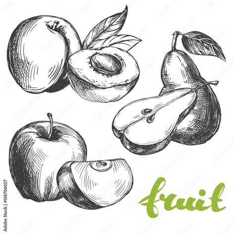 Fruit Peach Apple Pear Set Hand Drawn Vector Illustration Realistic