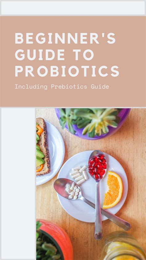 Beginners Guide To Taking Daily Probiotics Health Healthy Health Tips