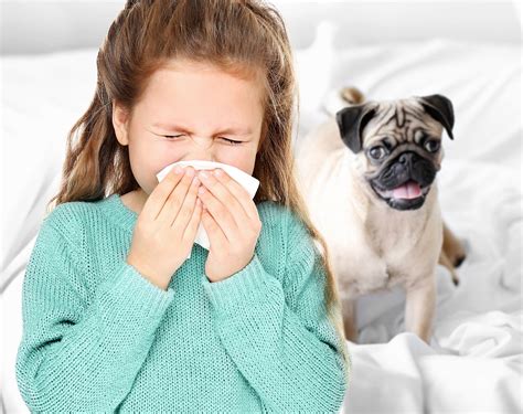 Pin On Allergy Symptoms