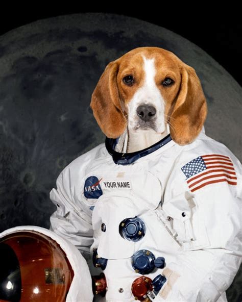 Items Similar To Pet Portrait As Nasa Astronaut Fun Dog Portrait